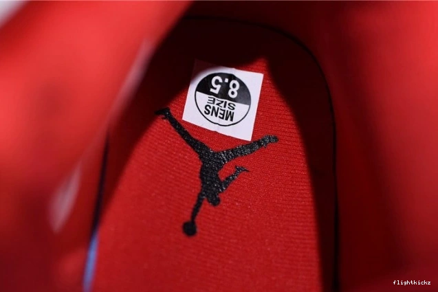Jordan Singles Day Air AV3914-600 4 0807